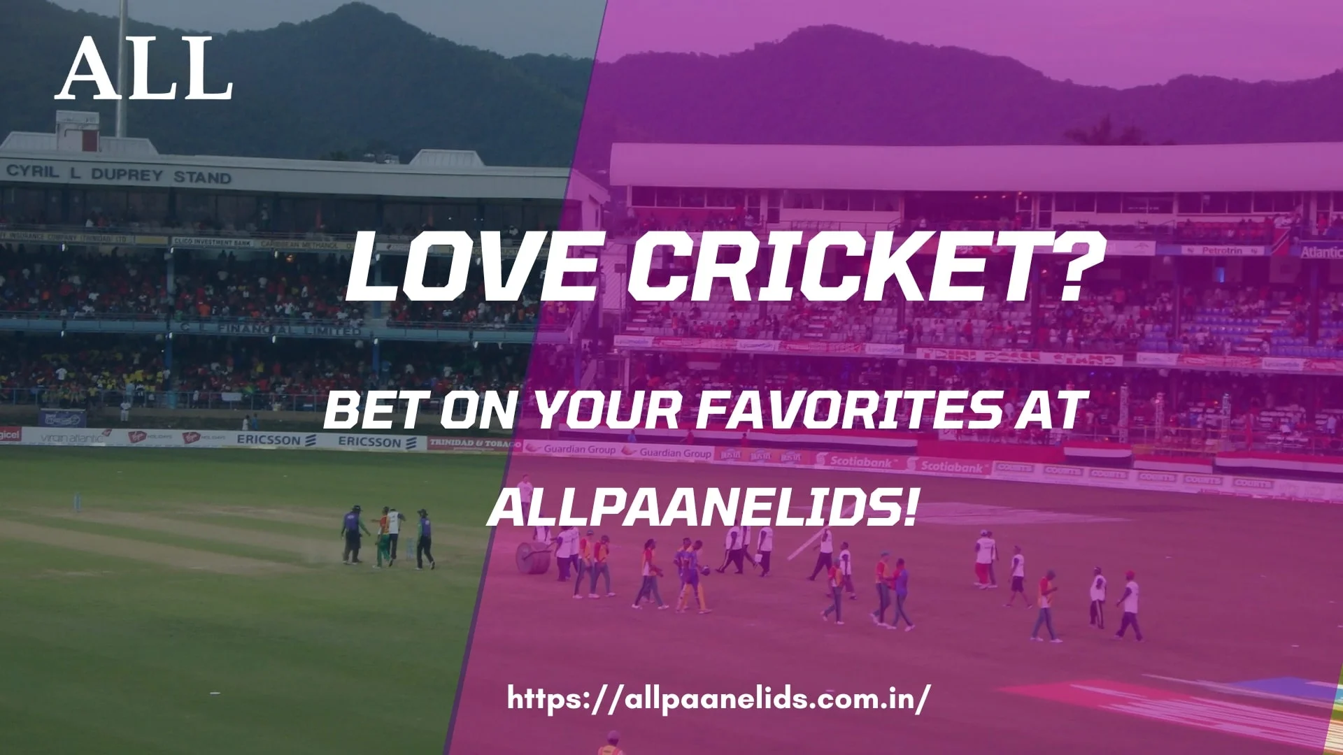 Allpaanel Cricket Betting